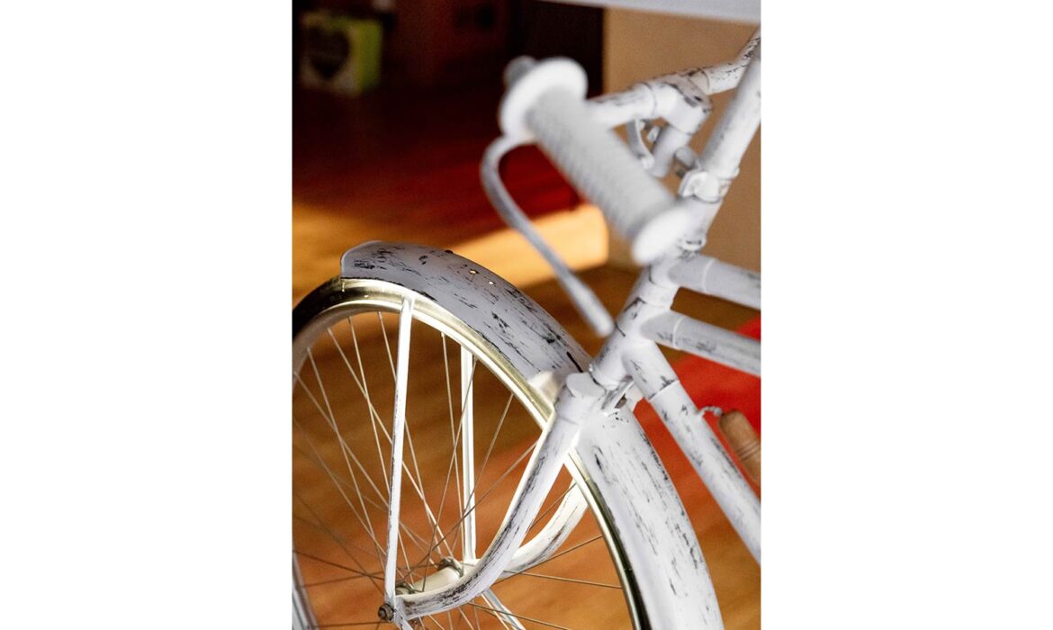 hashtag-shelfbike-roumelight 5