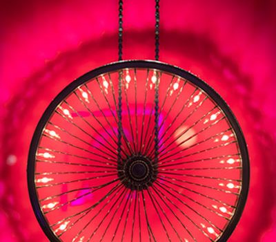 wheelight fuchsia