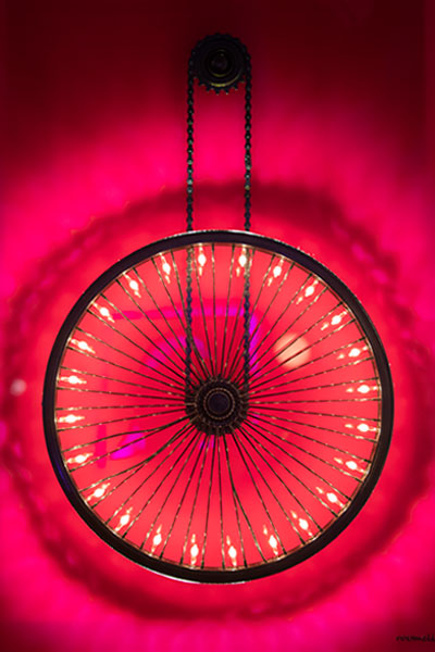 wheelight fuchsia